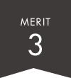 merit3